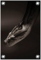 Tuinposter –Slangenkop– 40x60cm Foto op Tuinposter (wanddecoratie voor buiten en binnen)