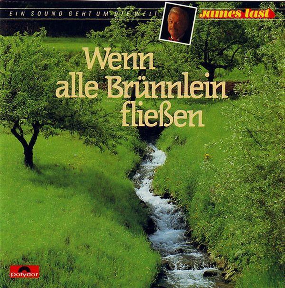 Wenn Alle Brunnlein Flies