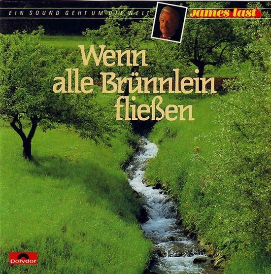 Wenn Alle Brunnlein Flies