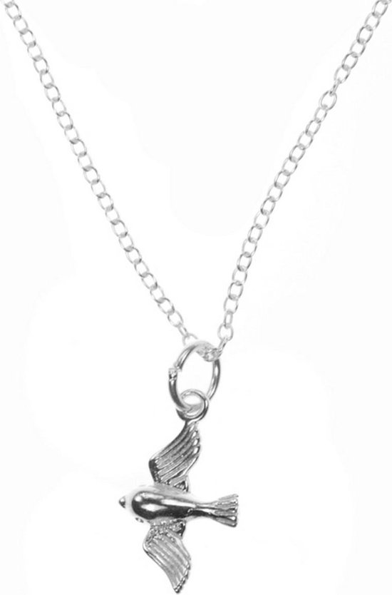 Jewelryz Vogel Ketting | 925 sterling zilver | 50 cm | bol.com