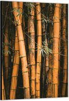 Dibond –Bamboe– 100x200cm Foto op Aluminium (Wanddecoratie van metaal)
