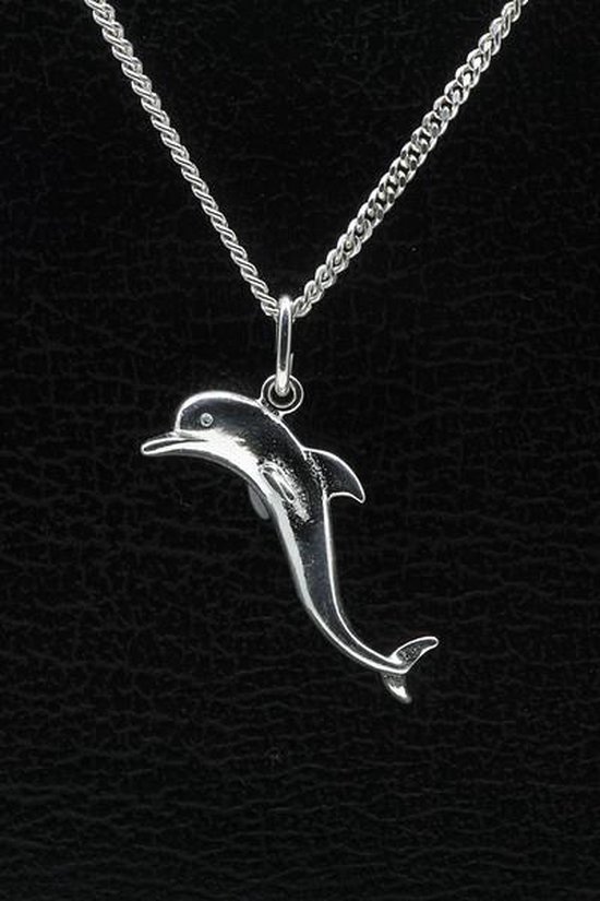 in de buurt noedels Bibliografie Zilveren Dolfijn ketting hanger - 2 | bol.com