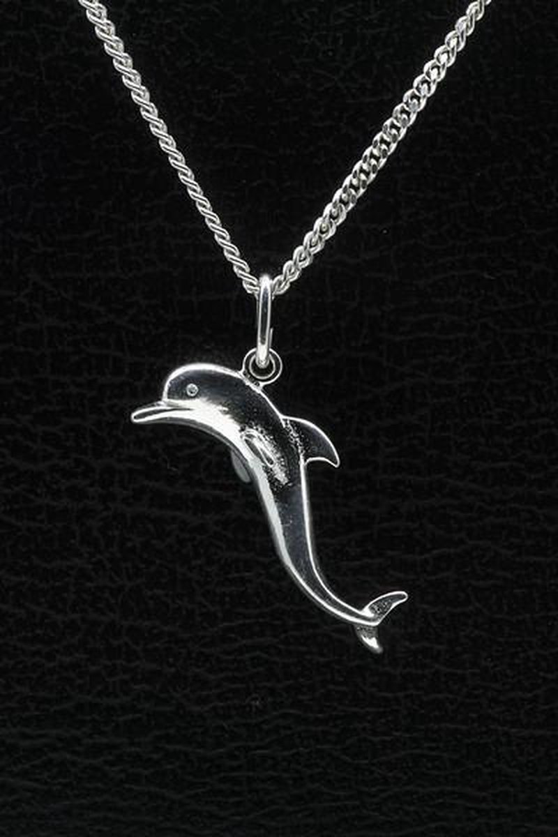 Zilveren Dolfijn ketting hanger - 2