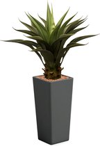 HTT - Kunstplant Agave vetplant in Clou vierkant antraciet H100 cm