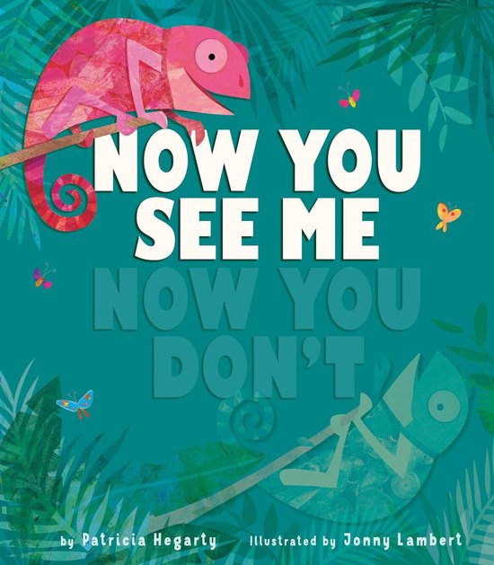 Boek cover Now You See Me, Now You Dont van Patricia Hegarty (Hardcover)