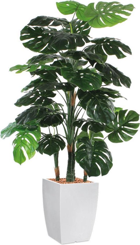 HTT - Kunstplant Monstera in Genesis vierkant wit H160 cm