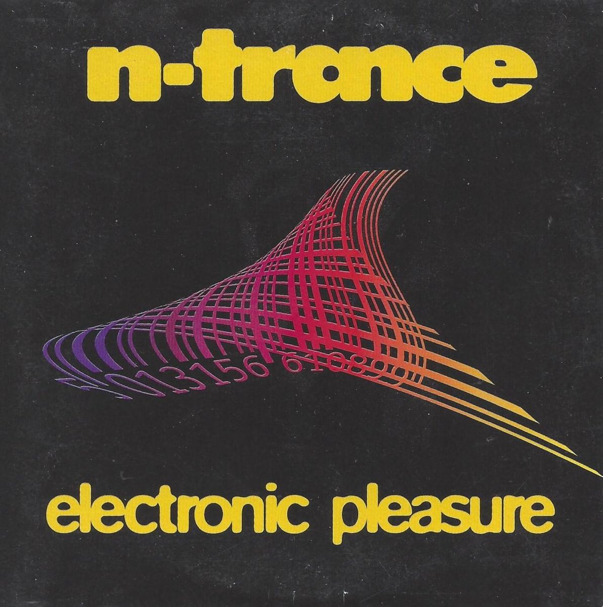 Electronic Pleasure