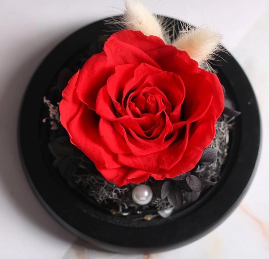 Onsterfelijke Roos in Glas – Rood - Moederdag – Valentijn cadeautje –  Huwelijk – Roos... | bol.com