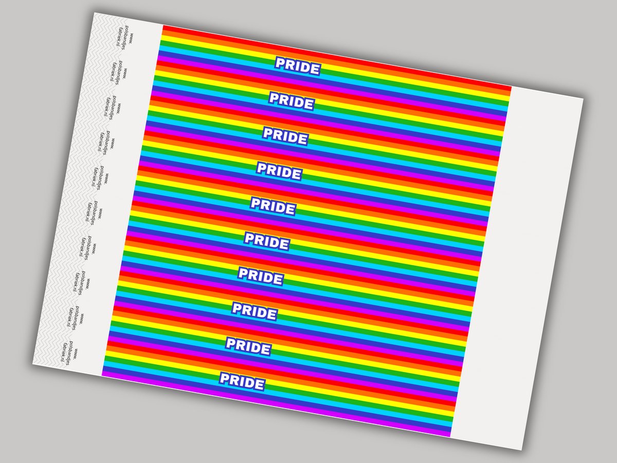 Tyvek Polsbandjes | Pride | 1000 Stuks | VanDerEng | Voor Evenementen, Feesten en Toegangscontrole