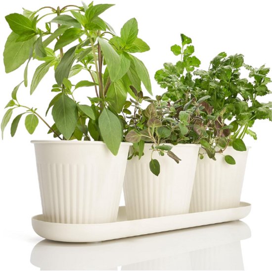 Prachtige Kruidentuinplanter Indoor Set Van 3 - Perfect Voor Elke Keuken Vensterbank Of Aanrecht - Moderne Decoratieve Tuinplantenbakset Inclusief Lade En Drainagegaten Voor Thuis Verse Kruiden