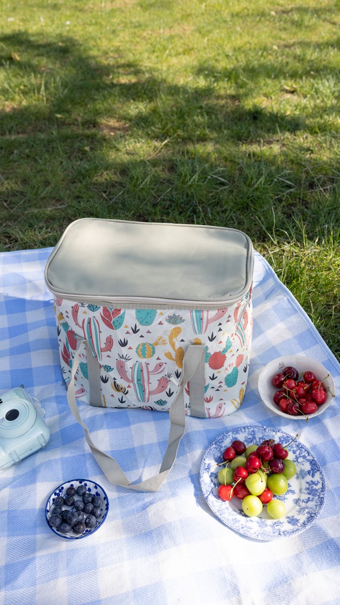 Geïsoleerde Koeltas| Lunchtas| Thermotas| 20 Liter| Picknicktas| Koeltas voor op reis met draagband