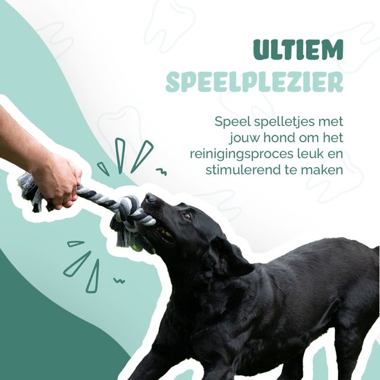 Floss Boss floss rope - jouet pour chien très robuste et sûr - corde pour chien en coton recyclé - corde à tirer grise - 20cm - 50g - 2 nœuds