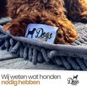Close-up van de poten van een bruine hond op een donkergrijze microvezel handdoek, met het Dogs&Co logo.