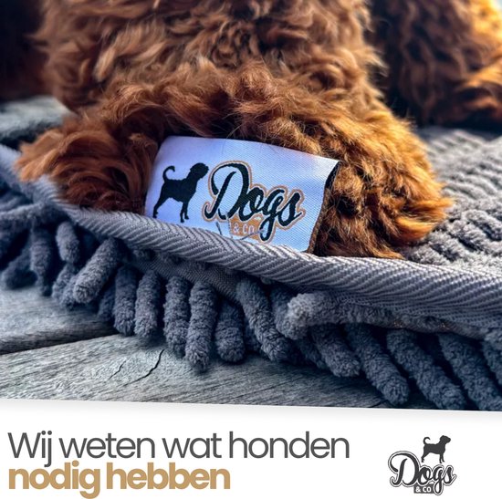 Close-up van de poten van een bruine hond op een donkergrijze microvezel handdoek, met het Dogs&Co logo.