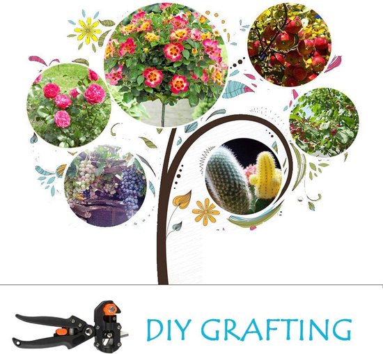 Tuingereedschapset - Enttigereedschapset - Tuinsnoeischaar schaar kniptang entgereedschap kit - Met omega-cut U-cut V-cut Ω voor plantentaktak/wijnstok/fruitbomen/bonsai van FY"/>
 — afbeelding 5
