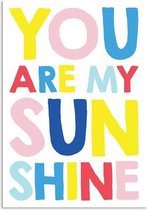 DesignClaud You are my sunshine - Kleurrijk - Tekst poster A2 + Fotolijst wit