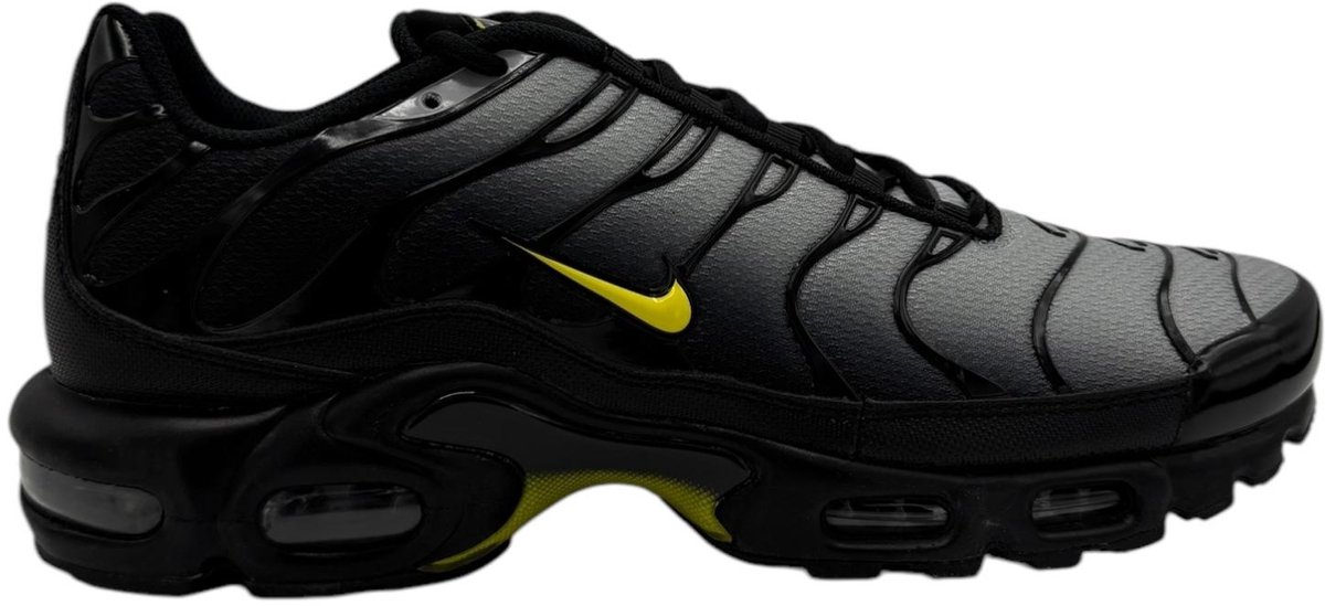 Nike Air Max Plus Zwart