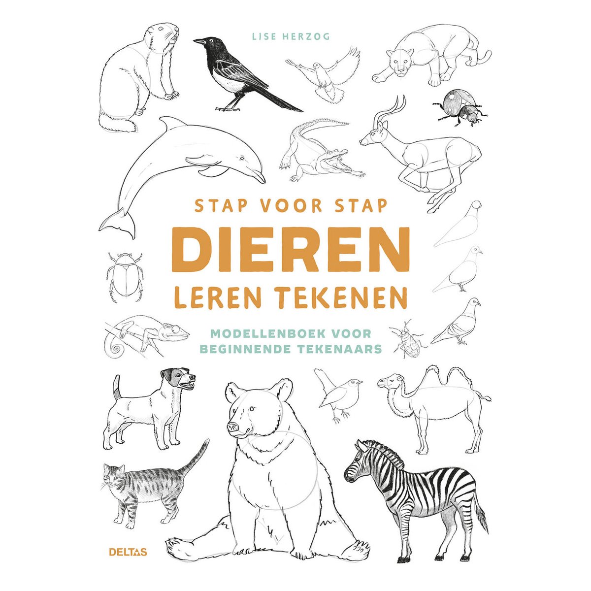 Omslag van Stap voor stap dieren leren tekenen