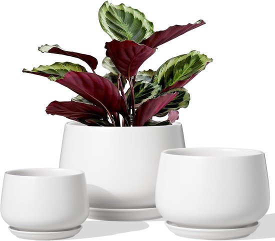Oairse Bloempot van keramiek, vetplantenpot met drainagegaten en onderzetters, keramische bloempot, diameter 13 cm, voor binnen, kamerplanten, outdoor, tuin, zwart Oairse Bloempot van keramiek, vetplantenpot met drainagegaten en onderzetters, keramische bloempot, diameter 13 cm, voor binnen, kamerplanten, outdoor, tuin, zwart