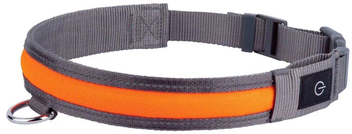 Zoofari LED Verlichte Halsband - Maat L 64-70 x 3.5 cm - Met 3 verlichtingsfuncties - Oplaadbaar met USB