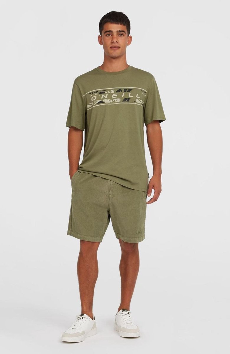O’neill Shorts O’NEILL CORD SHORTS Avery Fern