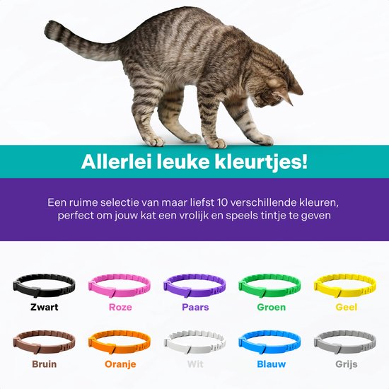 Grijze cyperse kat in pose, onder de tekst "Allerlei leuke kleurtjes!". Elf gekleurde halsbanden getoond: zwart, roze, paars, groen, geel, bruin, oranje, wit, blauw, grijs.