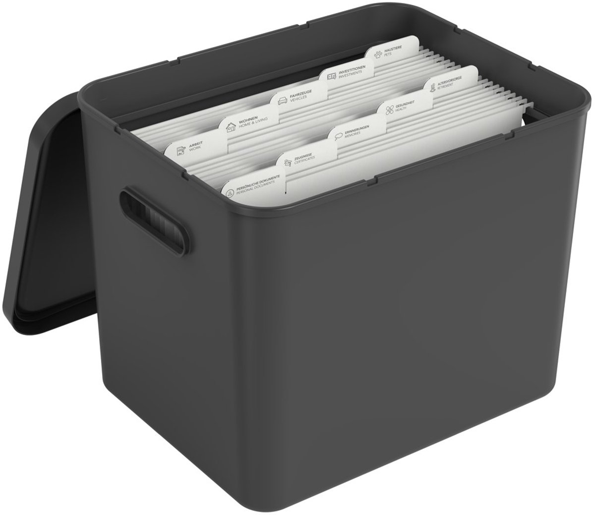 Rotho My Paper archiefdoos A4, documentenorganizer met inhangers, 40x29,2x29,8 CM, zwart