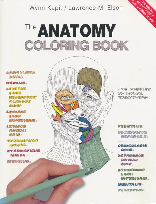 Anatomy Coloring Book