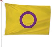Intersekse Vlag 200x300cm - LGBTQ+ Gay Pride Flag - Regenboog - Kwaliteitsvlag - Geschikt voor buiten