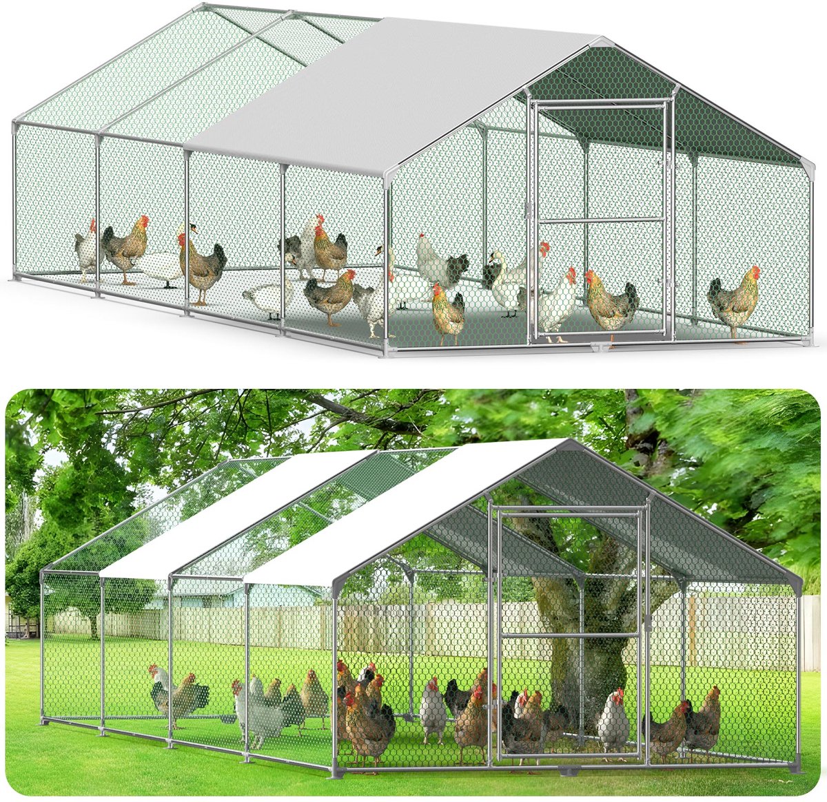 Kippenverblijf - Kippenhok metaal - 3x8x2m Kippenren- met vrije loopruimte en slot- voor kippen, vogels & kleine dieren