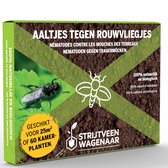 Aaltjes tegen Rouwvliegjes 25m² - Steinernema Feltiae - Nematoden tegen rouwvliegjes - Rouwvliegjes bestrijden - Afweermiddelen binnen