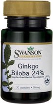 Swanson Health Ginkgo Biloba Extract 60mg - 240 capsules