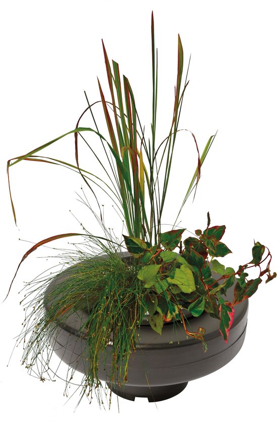 Superfish drijvende plantenmand XL Ø 30 cm