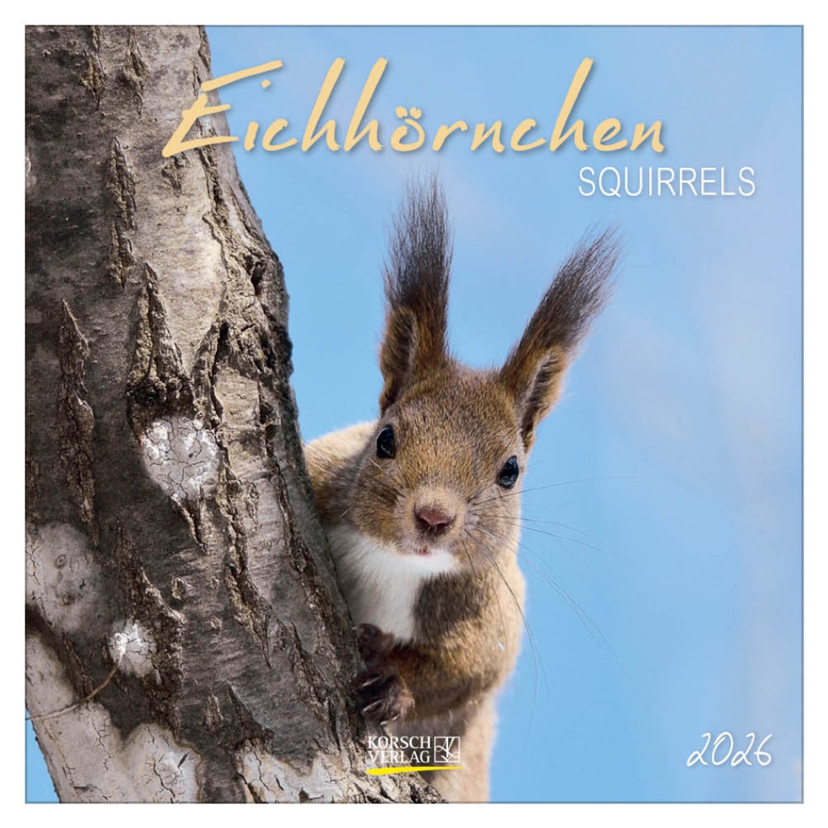Squirrels - 2026