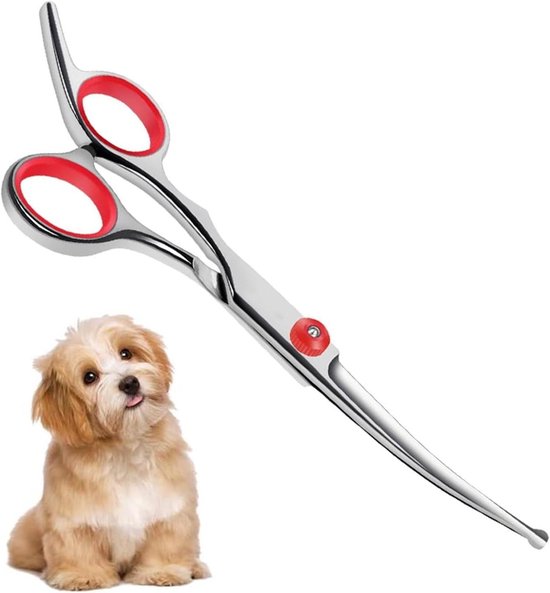 Best Curved Scissors For Dog Grooming [Updated On: November 2025]