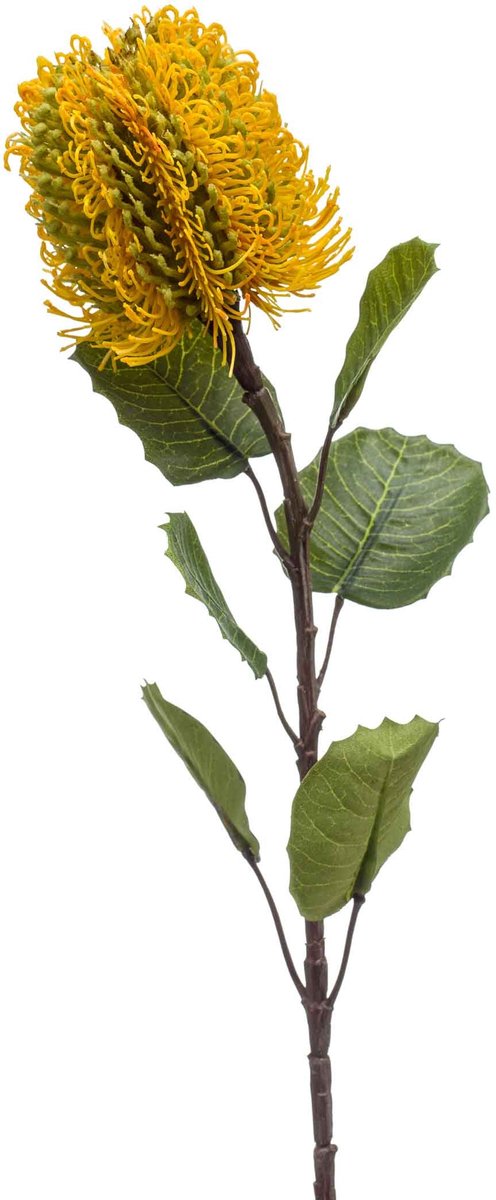 Emerald Kunstbloem Banksia geel 57cm - Kunstplant voor binnen