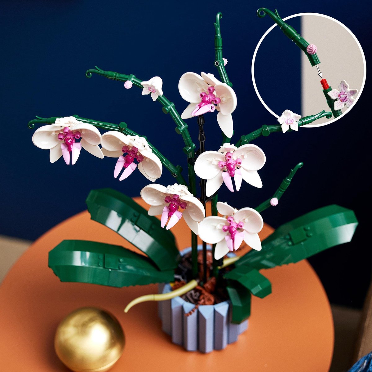 LEGO Icons Orchidee - Botanical Collection - 10311 — afbeelding 22