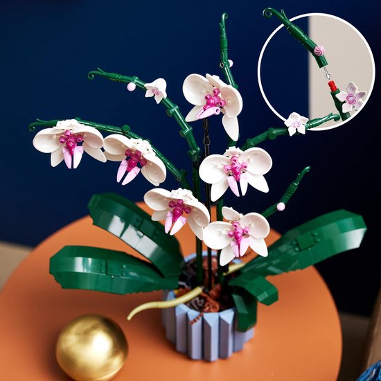 Orchidée LEGO détaillée aux fleurs blanches et cœurs roses, avec zoom sur la partie fleur.