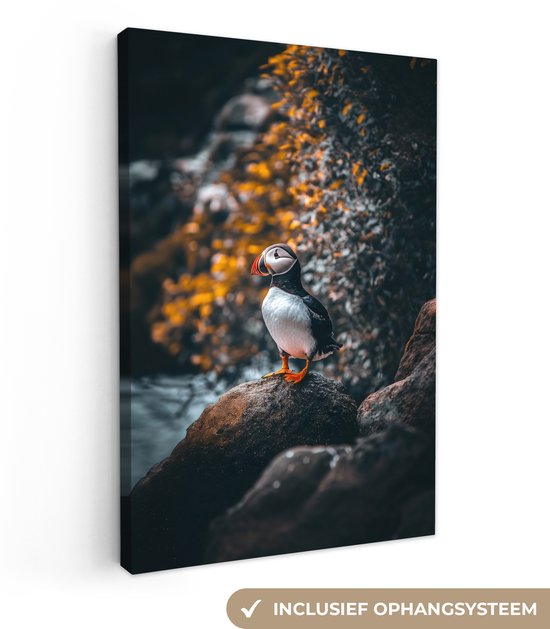 Tableau sur toile 40x60 cm - Décoration murale Perroquet - Vogel - Rocher - Wit - Décoration murale salon - Décoration chambre - Accessoires chambre - Peintures sur toile