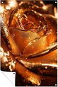 brons, bruin, geel, Roos, Hyperrealisme, Rozenblaadjes, Goud, oranje
