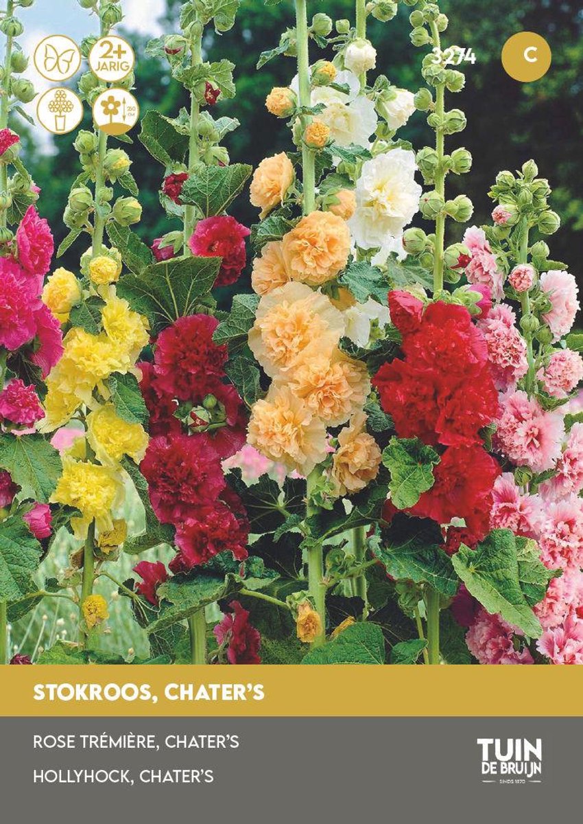 Stokroos Dubbele Mix Zaden – Hoge Bloemen – Dubbelbloemig – Bloemzaden Tuin | Tuin de Bruijn - ca. 60 zaden