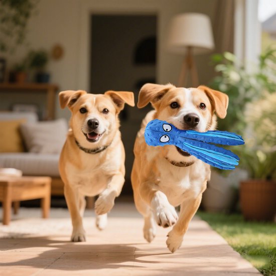 Twee honden rennen blij buiten, de voorste hond draagt een blauwe octopusknuffel in zijn bek.