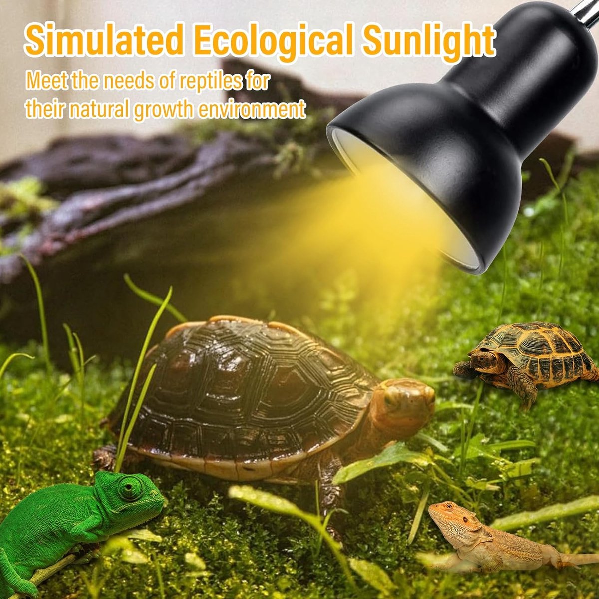 Reptielen Warmtelamp, UVA UVB Reptielen Zonnelamp voor Hagedis Slangen en Schildpadden (50W 220V