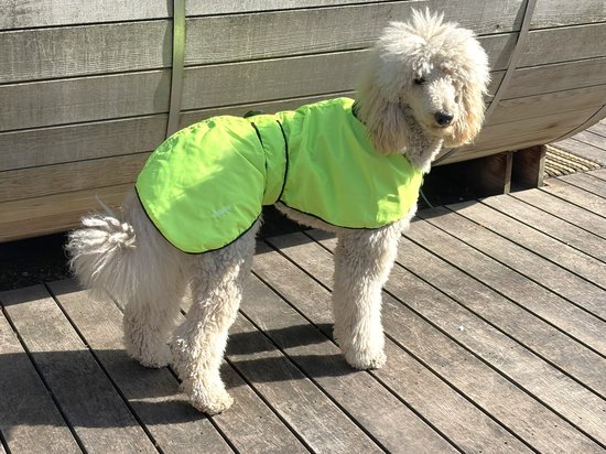 Manteau pour chien Cavlicious® Coolmax - imperméable pour chien - chien de chasse lévrier - jaune fluo - M