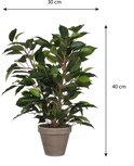 Een groene Ficus Natsja kunstplant in een grijze pot, met afmetingen 30 cm breed en 40 cm hoog.