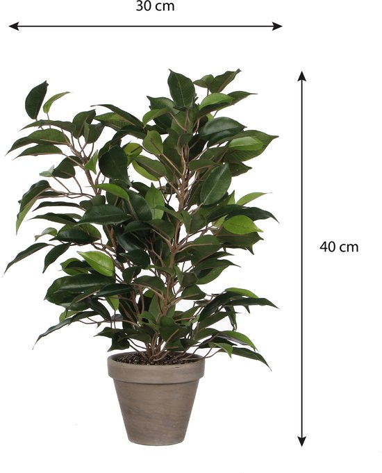 Een groene Ficus Natsja kunstplant in een grijze pot, met afmetingen 30 cm breed en 40 cm hoog.