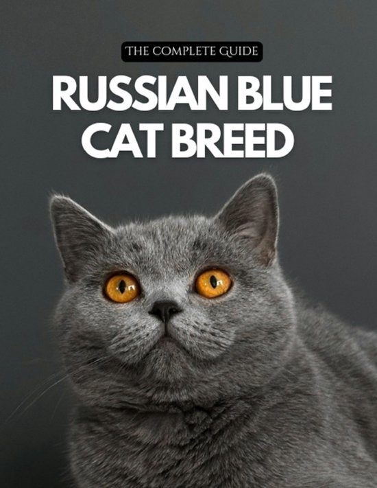 Russian Blue Cat Breed - cover
