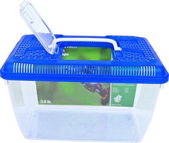 Gymnast Ongelijkheid Giftig Plastic Aquarium met blauwe deksel - 3,8 liter | bol.com