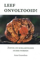 Een oranje Chinese lantaarn met een gedetailleerd patroon, op een donkere ondergrond. Tekst: LEEF ONVOLTOOID!