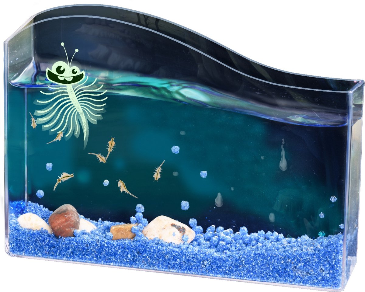 KOSMOS Saltwater Creatures - Experimenteerset - Kweek Je Eigen Pekelkreeftjes - Complete Kweekset met Aquarium, Vergrootglas en Decoratie - Ontdek Levend Waterleven - STEM Speelgoed - Vanaf 8 Jaa — afbeelding 6